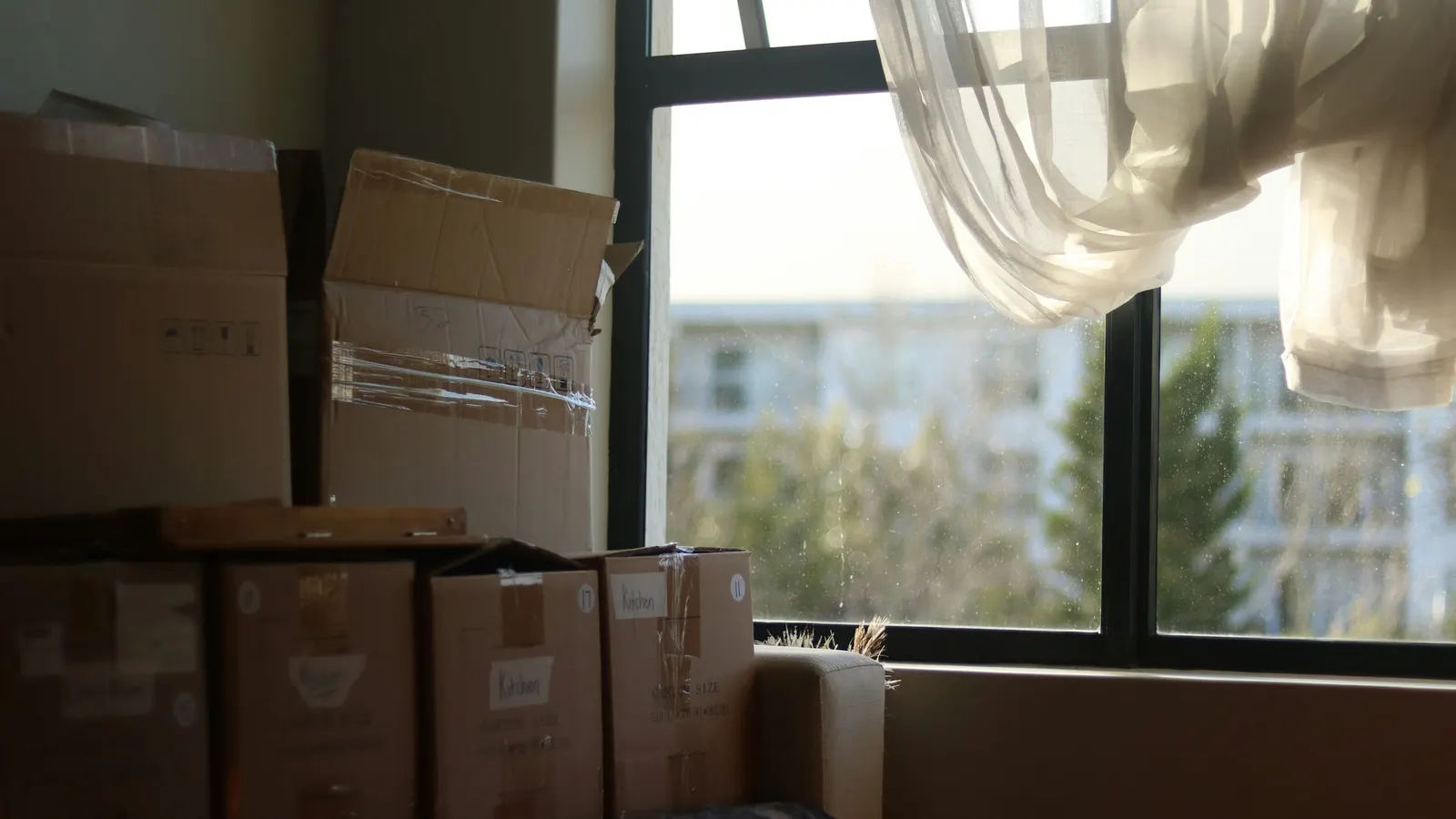 Move-Out Cleaning Checklist for Renters